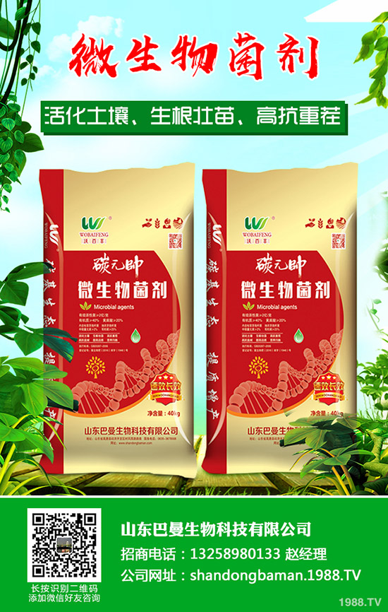 復(fù)合肥行業(yè)拓開新市場!2019年11月下旬復(fù)合肥行情走勢分析!