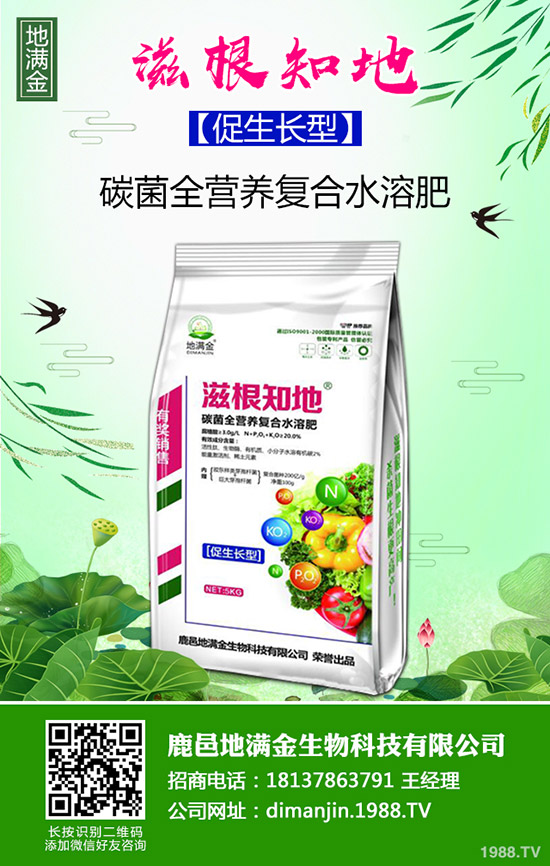 2020年種大豆還能拿補貼嗎?補貼多少錢?大豆種植前景么?