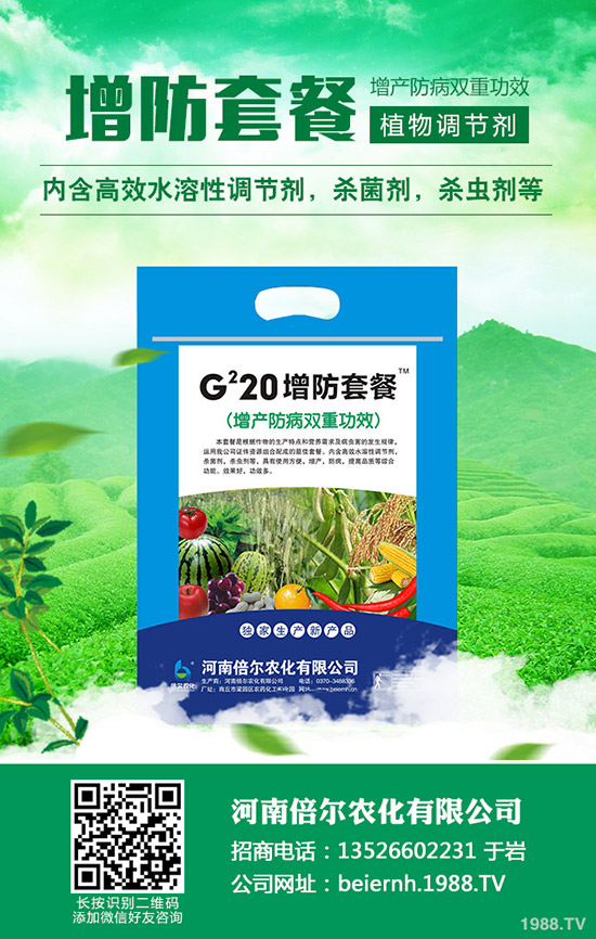 絲瓜如何種植才能高產(chǎn)?學(xué)會這幾點,輕松提高產(chǎn)量!