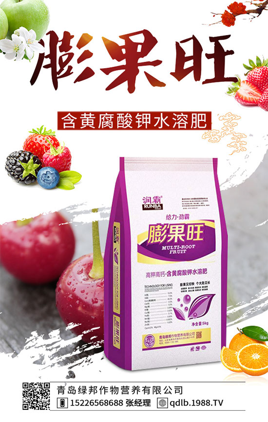 草莓種植覆蓋地膜有什么好處?鋪地膜時注意事項你知道嗎?