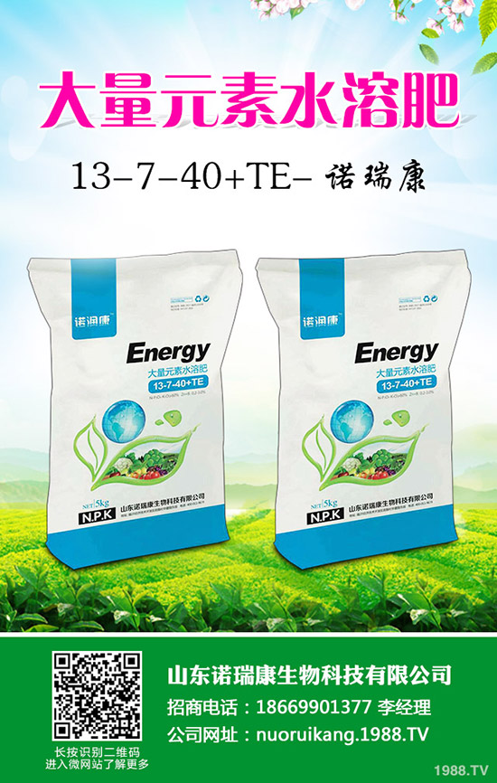 復(fù)合肥冬儲政策出臺不明!2019年11月8日最新復(fù)合肥價格日報!