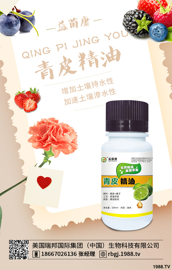 oԓ޼@Щֵղ