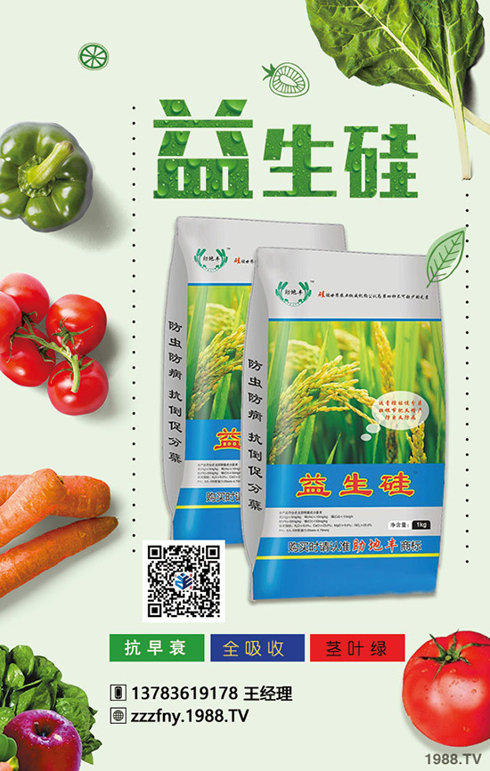 有機(jī)肥+生物菌肥的效果大,大到增產(chǎn)增收到害怕!