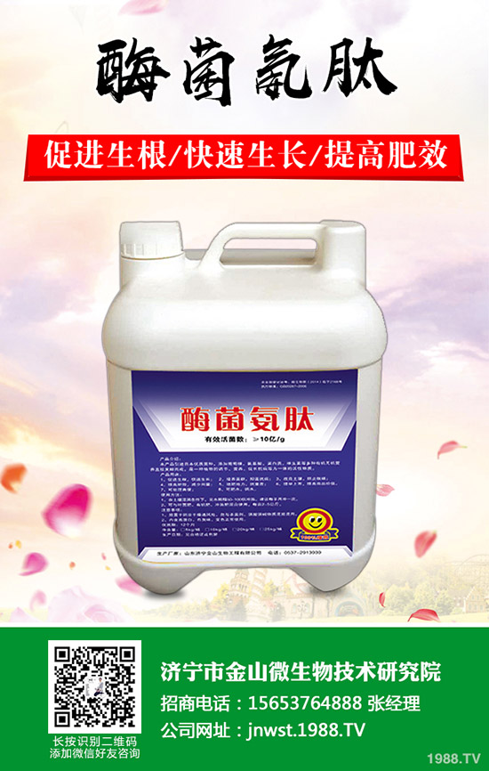 李子樹(shù)怎么修剪?李子樹(shù)的修剪方法有哪些呢?