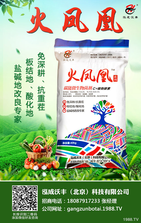 2020年種植生姜賺錢(qián)么?前景怎樣?一畝生姜投資及效益分析!
