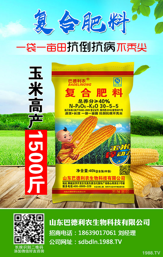 復(fù)合肥市場行情低迷!2019年12月13日今日復(fù)合肥價格早報!