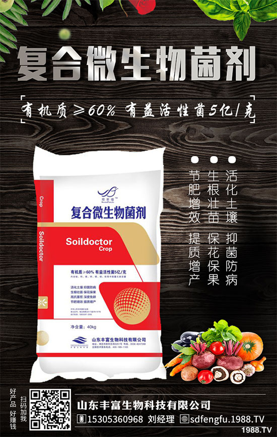 Pخa(chn)2020Nֲǰ