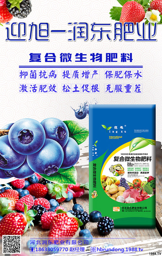 芒果旺長怎么辦?農(nóng)戶們?nèi)绾螒?yīng)對(duì)芒果旺長?