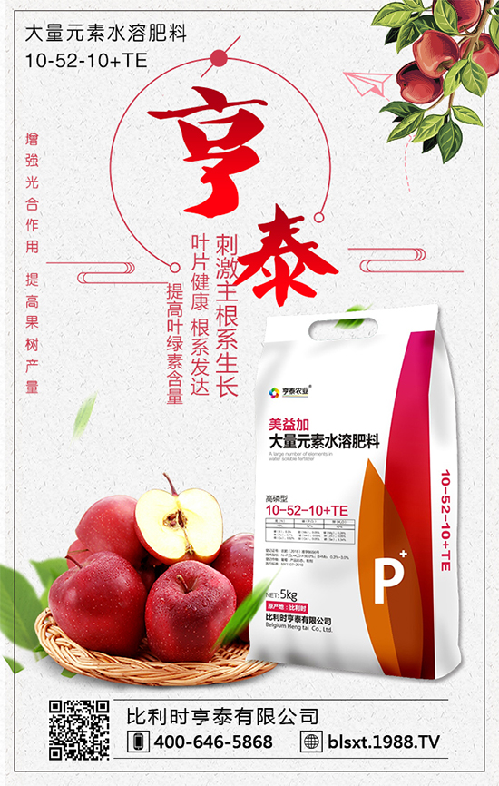 2019核桃多少錢(qián)一斤?2020年核桃種植前景怎么樣?種植成本和收益!