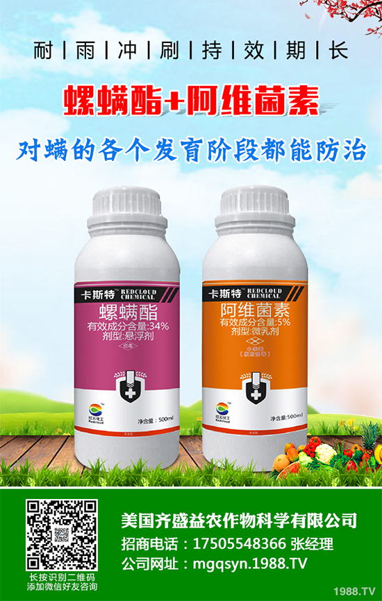 ؐ˹MYK3.63|Ԫ ڶ`xµϵЮa(chn)ƷĿČʩ