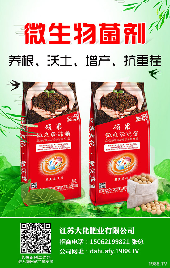 һa(chn)Ƕ2020NֲٍXǰͳɱΣ