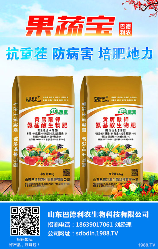2020年預(yù)測(cè)番茄種植現(xiàn)狀分析!種植番茄還賺錢(qián)么?畝產(chǎn)利潤(rùn)及成本多少?