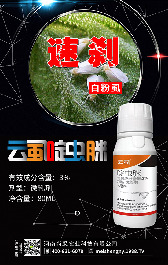 @ʩY(ji)Ʒ|(zh)ãa(chn)