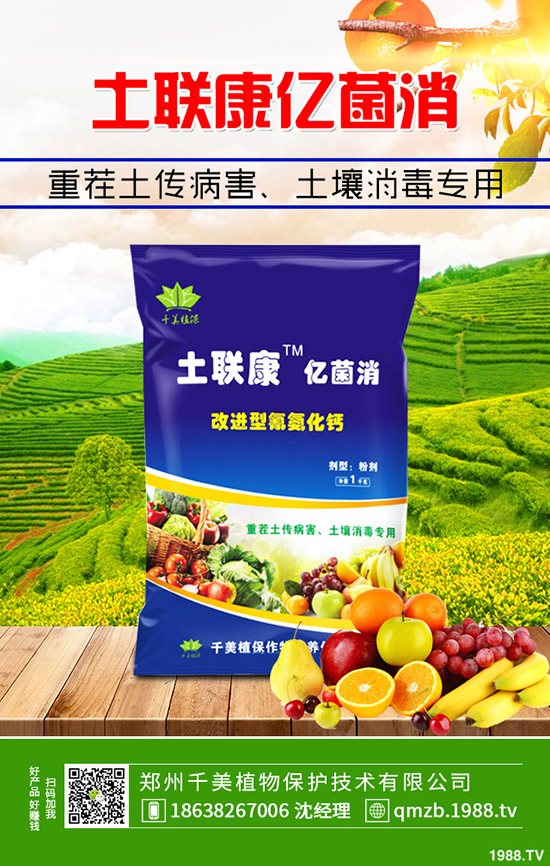     2020؃rqô1230ո؅^(q)Sr