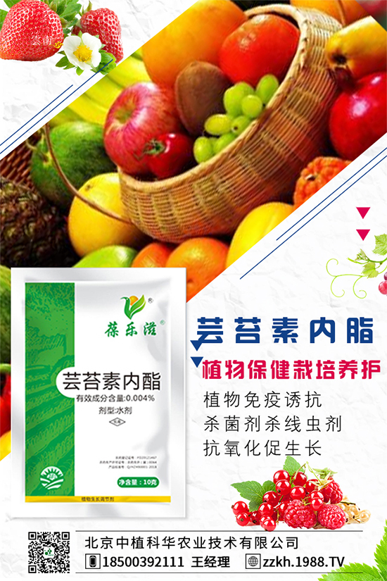 彩椒什么時間種植?彩椒的高產(chǎn)種植方法!