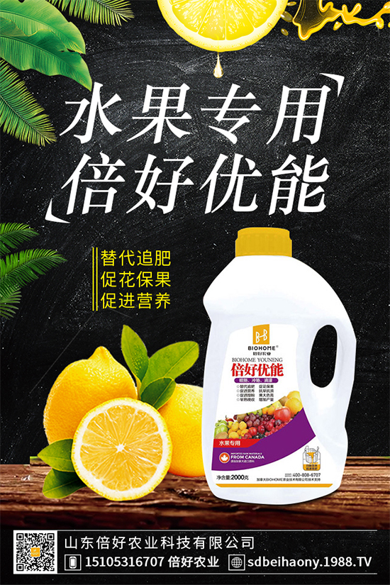 木耳菜有哪些營養(yǎng)價值?木耳菜的功效作用