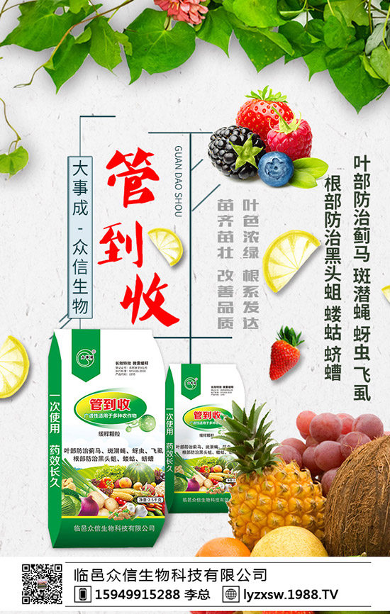 2020年花生種植賺錢(qián)么?帶殼花生價(jià)格多少錢(qián)一斤?種植前景及效益!