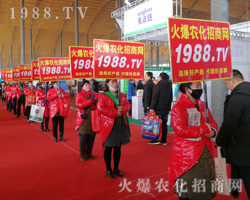     201930úӱֲrW(wng)ҊCИI(y)ʢل(chung)ѿ