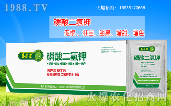 合作再升級,英爾果植物攜手農(nóng)化網(wǎng)共筑網(wǎng)絡招商路!
