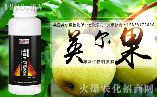 合作再升級,英爾果植物攜手農(nóng)化網(wǎng)共筑網(wǎng)絡招商路!