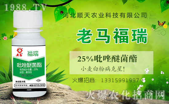 火爆農(nóng)化網(wǎng)再簽河北順天農(nóng)業(yè),促進(jìn)戰(zhàn)略合作再升級!