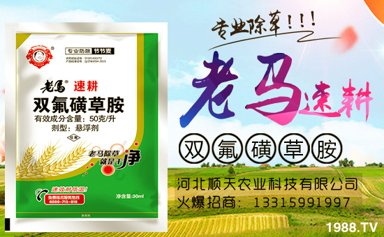 火爆農(nóng)化網(wǎng)再簽河北順天農(nóng)業(yè),促進(jìn)戰(zhàn)略合作再升級!