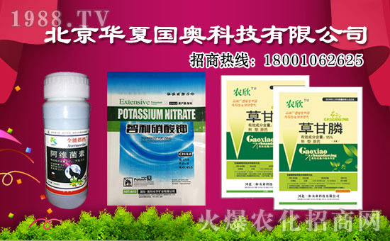 北京華夏國奧再簽火爆農(nóng)化網(wǎng),力求實現(xiàn)騰飛夢!