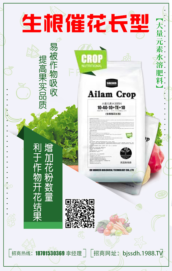 豌豆什么時(shí)間種植?豌豆高產(chǎn)種植技術(shù)要點(diǎn)有哪些?