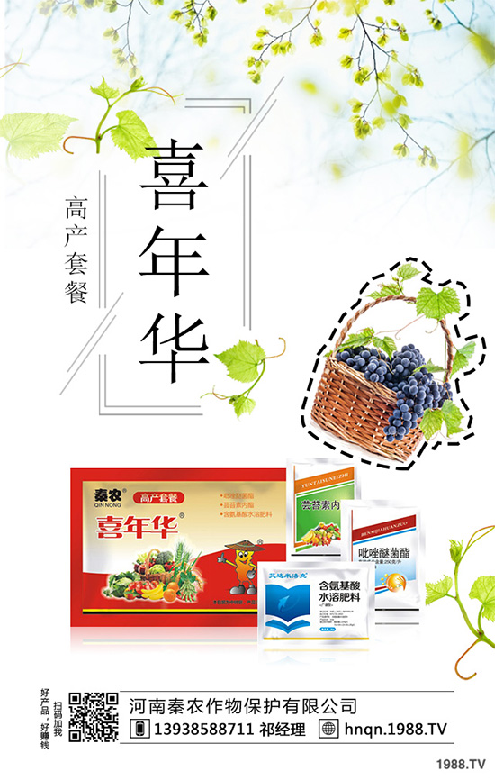 復合肥價格