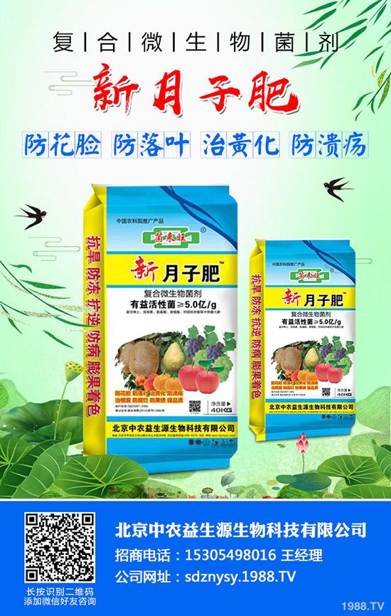 秋季大白菜什么時(shí)候種植合適?秋季大白菜的種植時(shí)間及種植方法