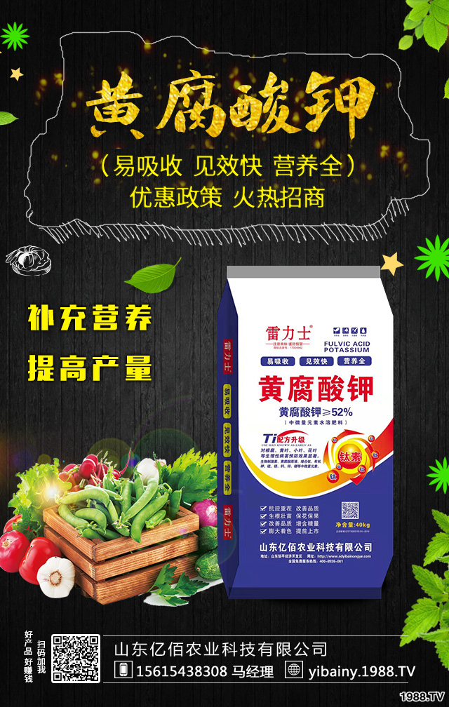 茄子如何施肥既經(jīng)濟,又結(jié)果多?