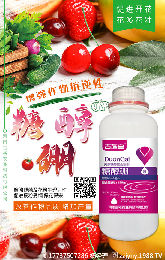 葡萄缺硼在果上葉上表現(xiàn)癥狀!什么時候補(bǔ)硼?葡萄補(bǔ)硼時間及技術(shù)!
