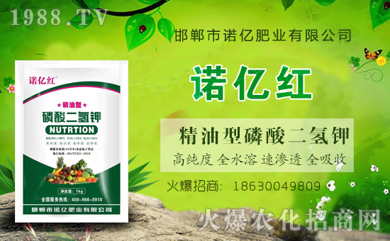 火爆農(nóng)化網(wǎng)喜迎新盟友,攜手利諾億肥業(yè)共走財(cái)富之路