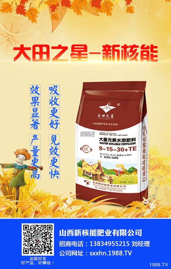 2019年9月17日今日最新國內(nèi)磷酸一銨出廠報(bào)價一覽
