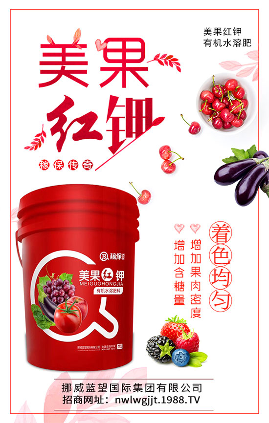 蓮藕什么時候種植?蓮藕種植技術要點!