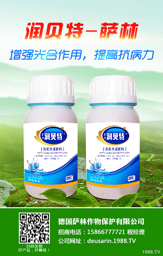 生姜的種植時間,生姜高產(chǎn)種植技術(shù)!