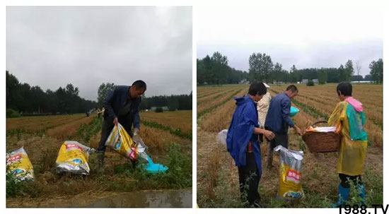 ٿСa(chn)1471pøȫ߮a(chn)(dng)֮o