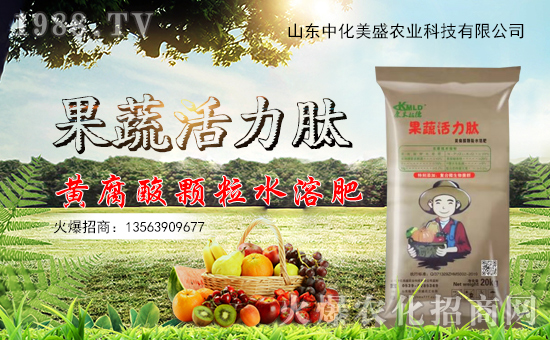 中化美盛入駐火爆農(nóng)化網(wǎng),開啟網(wǎng)絡(luò)招商新渠道!