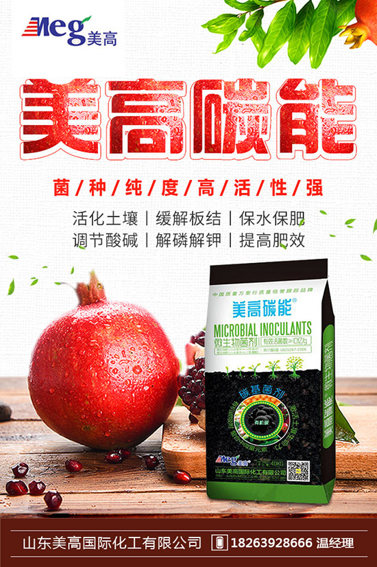 秋季家庭陽臺(tái)種植什么蔬菜好?秋冬陽臺(tái)種菜的方法!