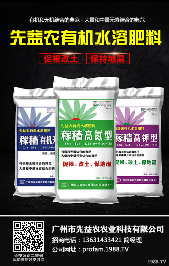 秋甘藍(lán)該怎么種植?秋甘藍(lán)高產(chǎn)種植技術(shù)