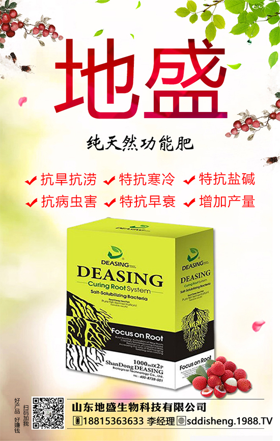 油茶樹的種植管理方法,油茶樹的經(jīng)濟(jì)價值如何?