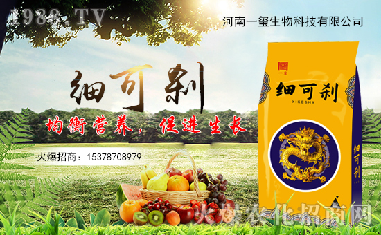 һtףȫт경ӭ{f