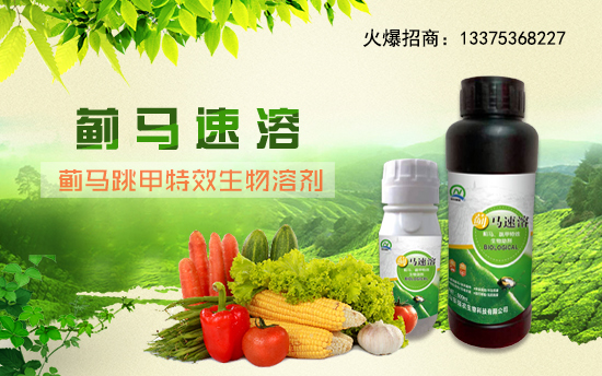 【山東強農生物】祝愿一路陪伴的朋友們身體健康,萬事如意!