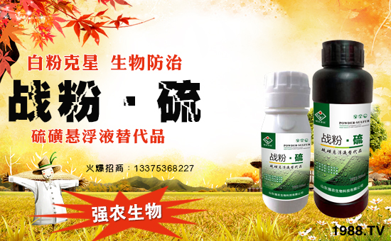 【山東強農生物】祝愿一路陪伴的朋友們身體健康,萬事如意!