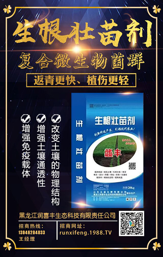 【黑龍江潤喜豐】祝廣大經(jīng)銷商2020年事業(yè)騰飛!鼠年大吉!新年好!