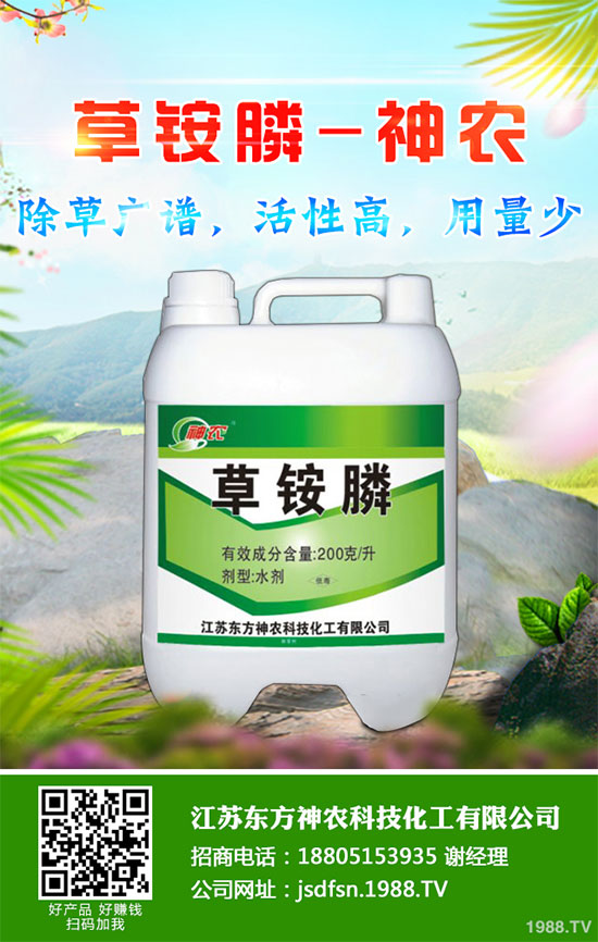 怎么判斷大蔥得了黃矮。看笫[黃矮病防治措施怎么做?