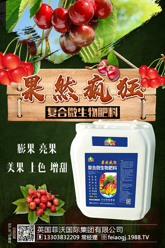 如何種植糯玉米才能實現(xiàn)高產(chǎn)?糯玉米種植要點(diǎn)有哪些