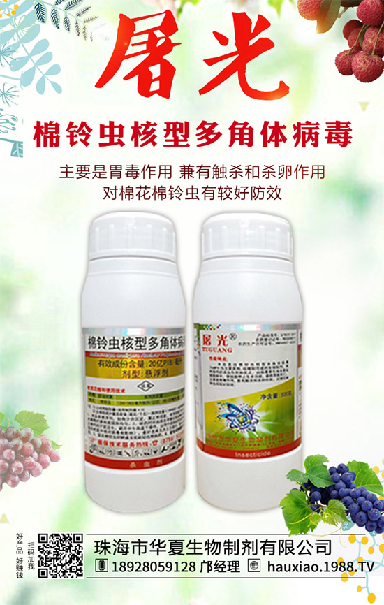 【華夏生物】恭祝新老朋友新年快樂,鼠年吉祥!萬(wàn)事如意平安年!