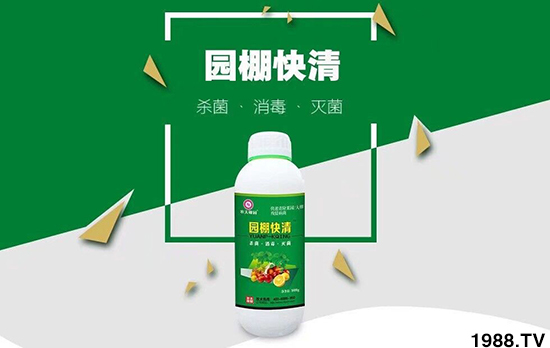 【農(nóng)夫稼園】祝全國朋友,2020年新年快樂,萬事如意!財運(yùn)兩旺!