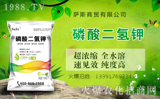 【薩斯商貿(mào)】全體員工祝全國人民在新的一年里鼠年好運(yùn),鼠錢沒完!